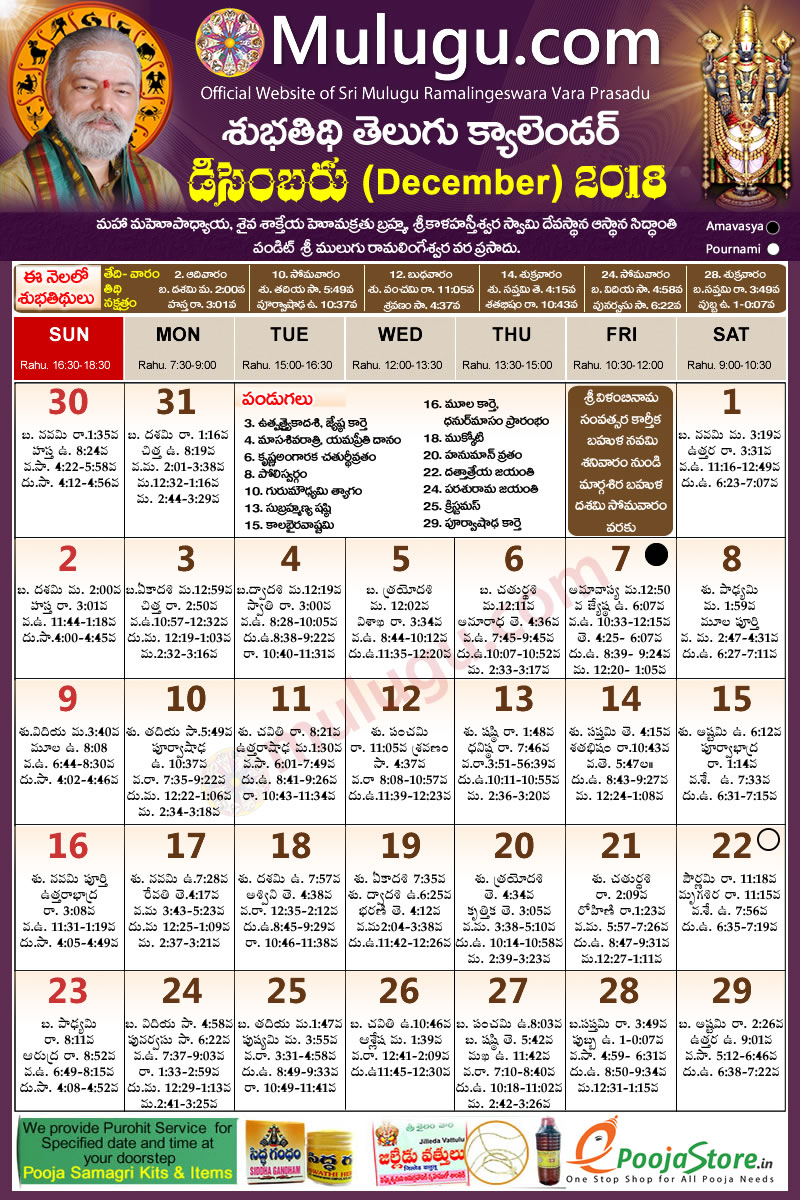 2019-telugu-calendar-january-january-2019-calendar-telugu-printable-template-with-holidays-pdf