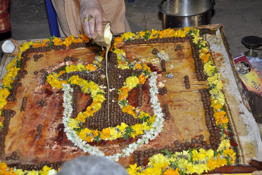 Maha Shivratri Special Sahasra Lingarchana 2013 (11)