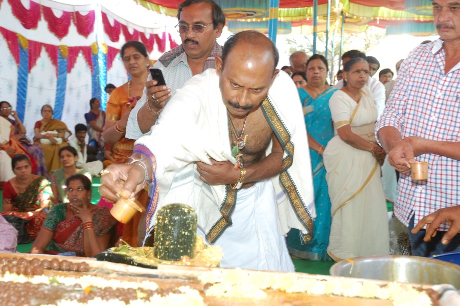 Maha Shivratri Special Maha Pasupatha Homam 2014 (123)