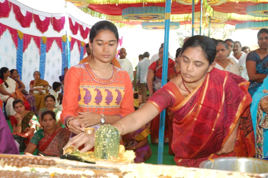 Maha Shivratri Special Maha Pasupatha Homam 2014 (125)