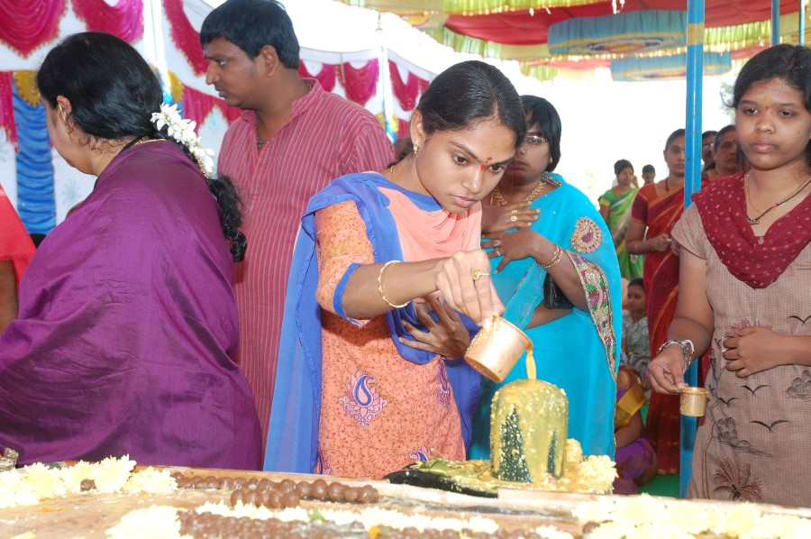 Maha Shivratri Special Maha Pasupatha Homam 2014 (127)
