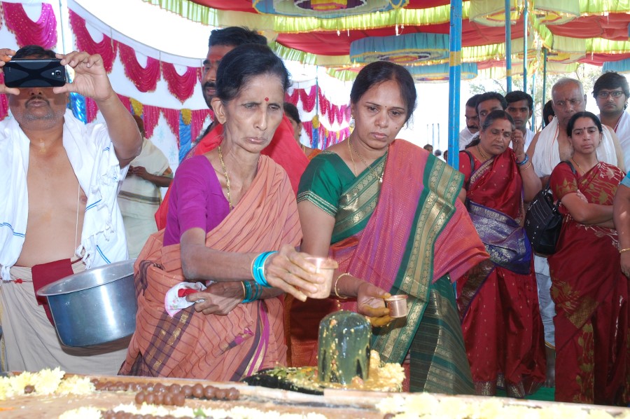Maha Shivratri Special Maha Pasupatha Homam 2014 (135)