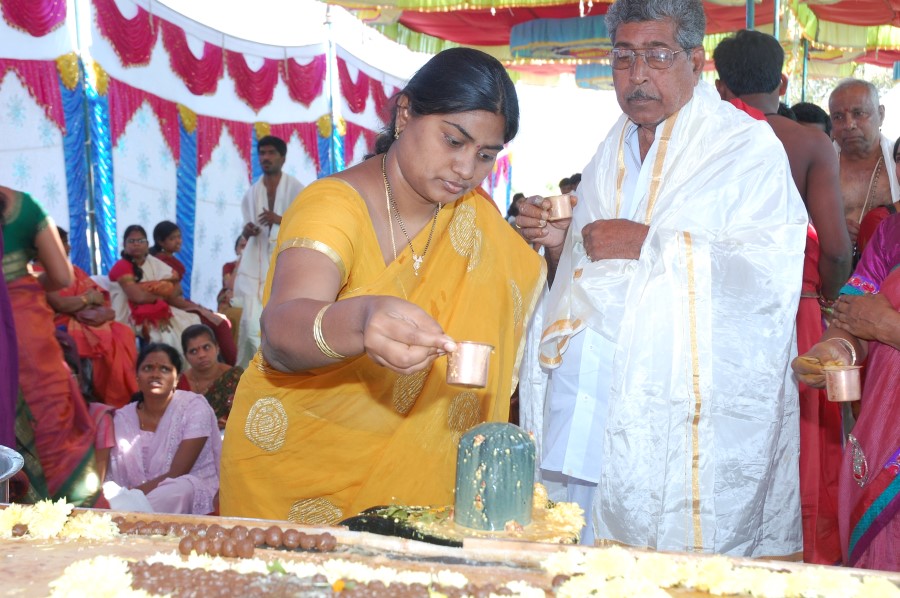 Maha Shivratri Special Maha Pasupatha Homam 2014 (137)