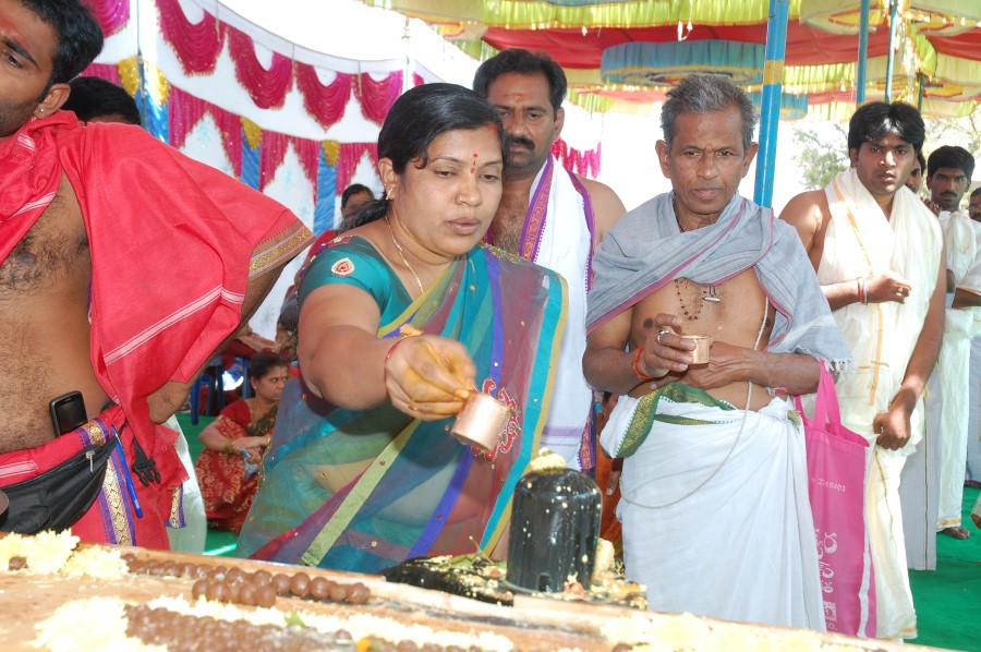 Maha Shivratri Special Maha Pasupatha Homam 2014 (165)