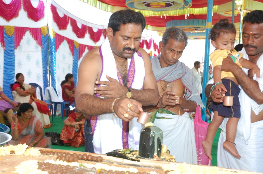 Maha Shivratri Special Maha Pasupatha Homam 2014 (166)