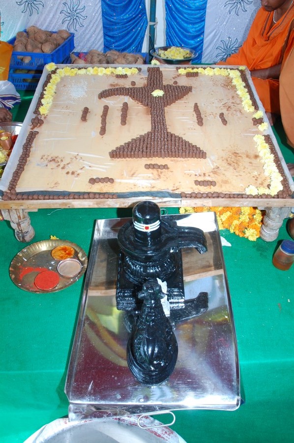 Maha Shivratri Special Maha Pasupatha Homam 2014 (18)