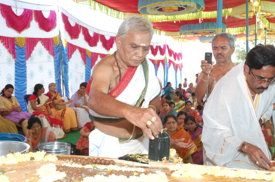 Maha Shivratri Special Maha Pasupatha Homam 2014 (180)