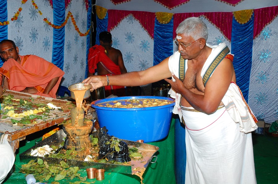 Maha Shivratri Special Maha Pasupatha Homam 2014 (191)
