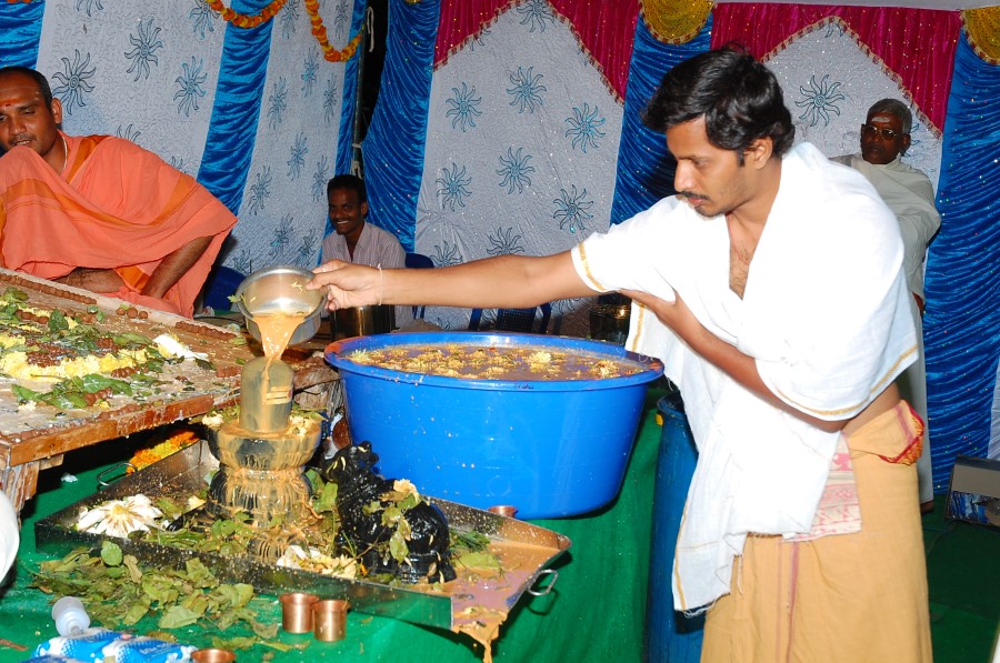 Maha Shivratri Special Maha Pasupatha Homam 2014 (194)