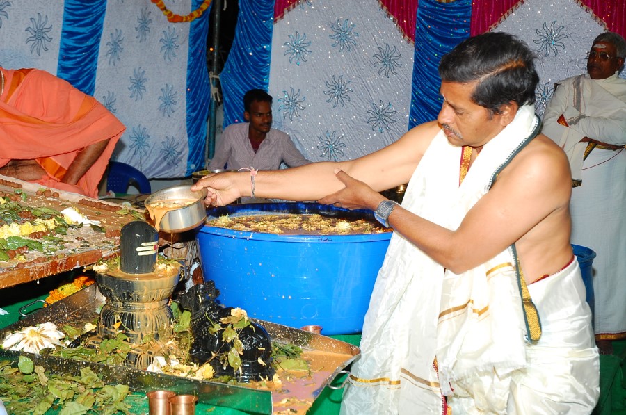 Maha Shivratri Special Maha Pasupatha Homam 2014 (195)