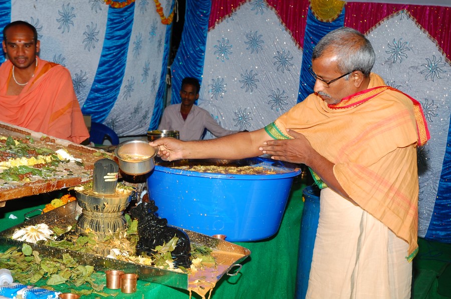 Maha Shivratri Special Maha Pasupatha Homam 2014 (198)