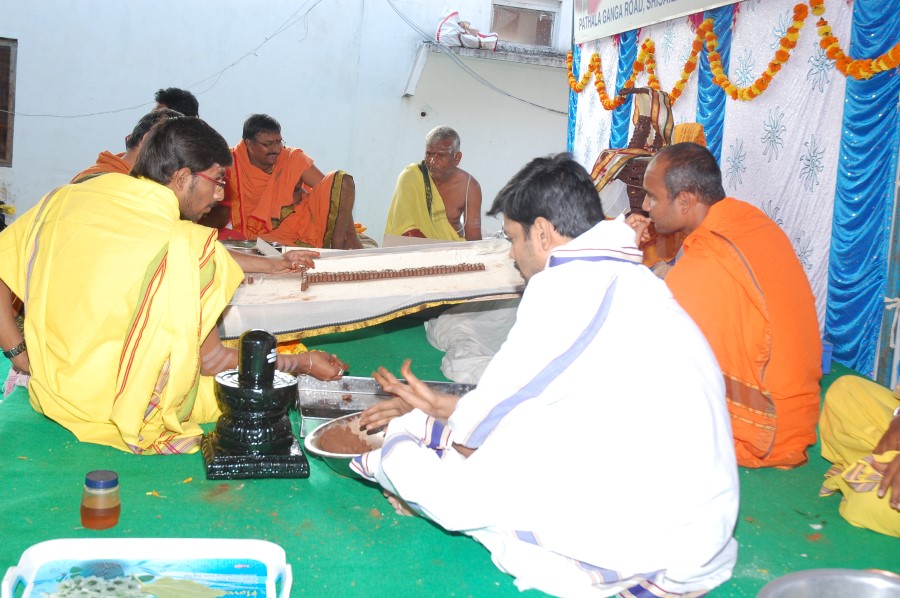 Maha Shivratri Special Maha Pasupatha Homam 2014 (2)