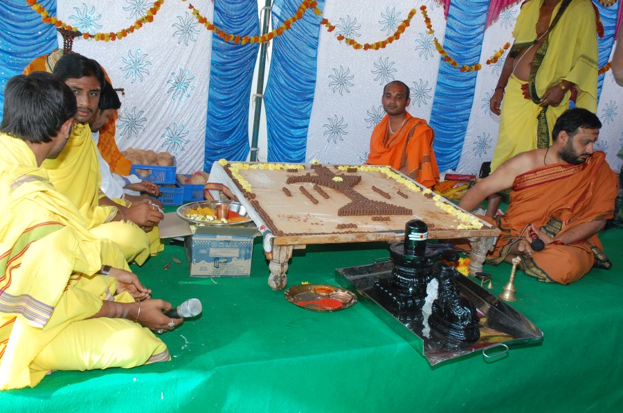 Maha Shivratri Special Maha Pasupatha Homam 2014 (20)