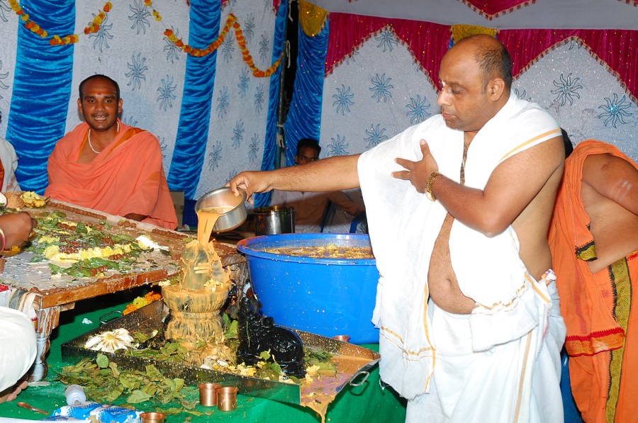 Maha Shivratri Special Maha Pasupatha Homam 2014 (200)