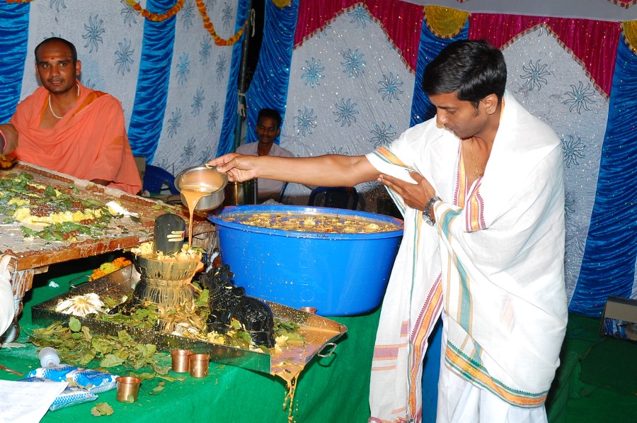 Maha Shivratri Special Maha Pasupatha Homam 2014 (202)