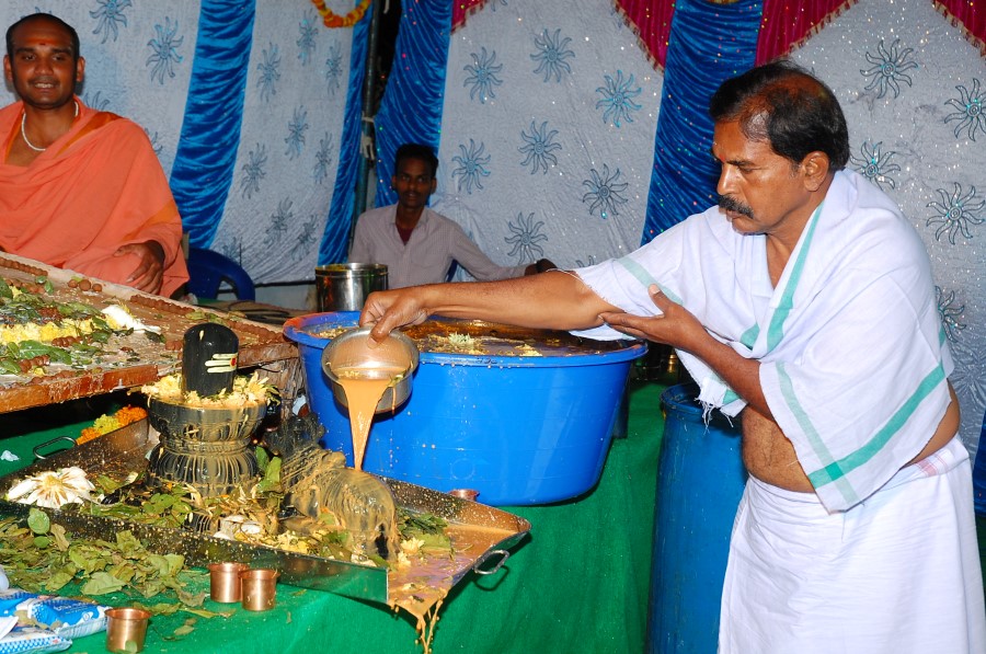 Maha Shivratri Special Maha Pasupatha Homam 2014 (203)