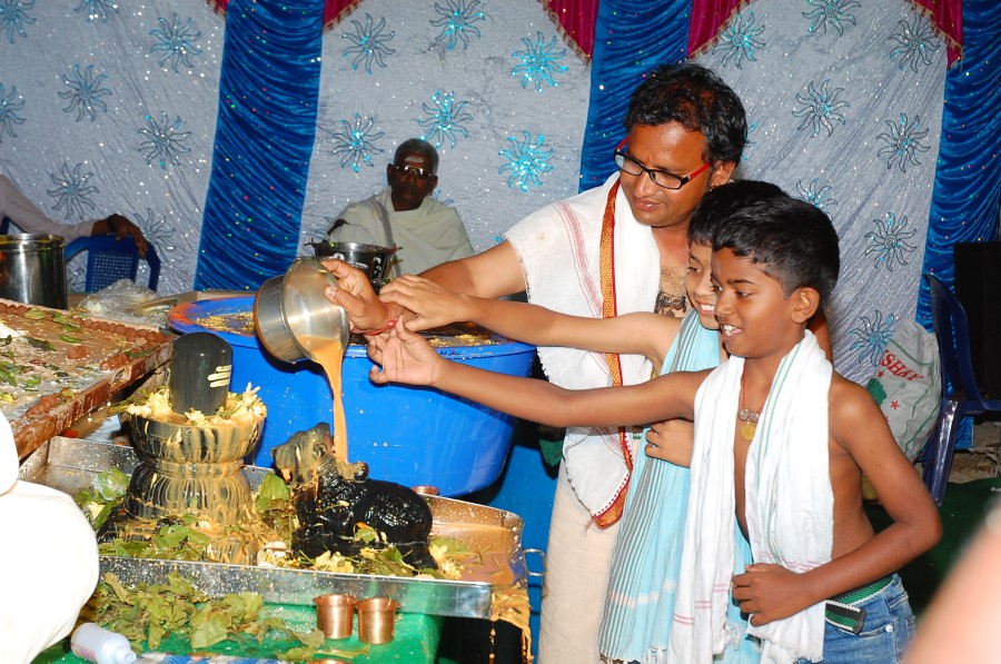 Maha Shivratri Special Maha Pasupatha Homam 2014 (204)