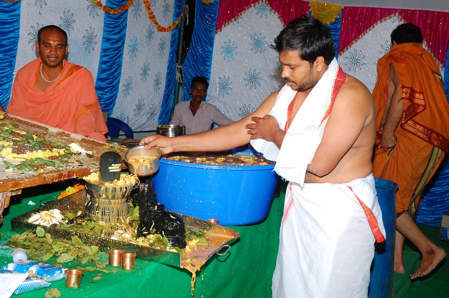 Maha Shivratri Special Maha Pasupatha Homam 2014 (205)