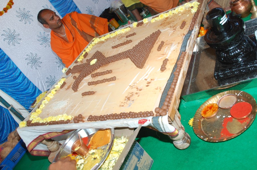 Maha Shivratri Special Maha Pasupatha Homam 2014 (22)