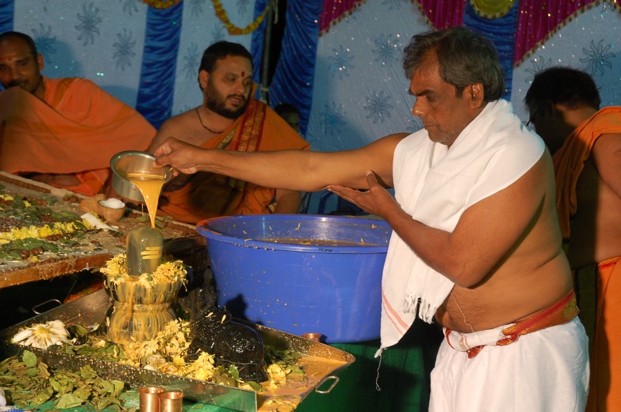 Maha Shivratri Special Maha Pasupatha Homam 2014 (222)
