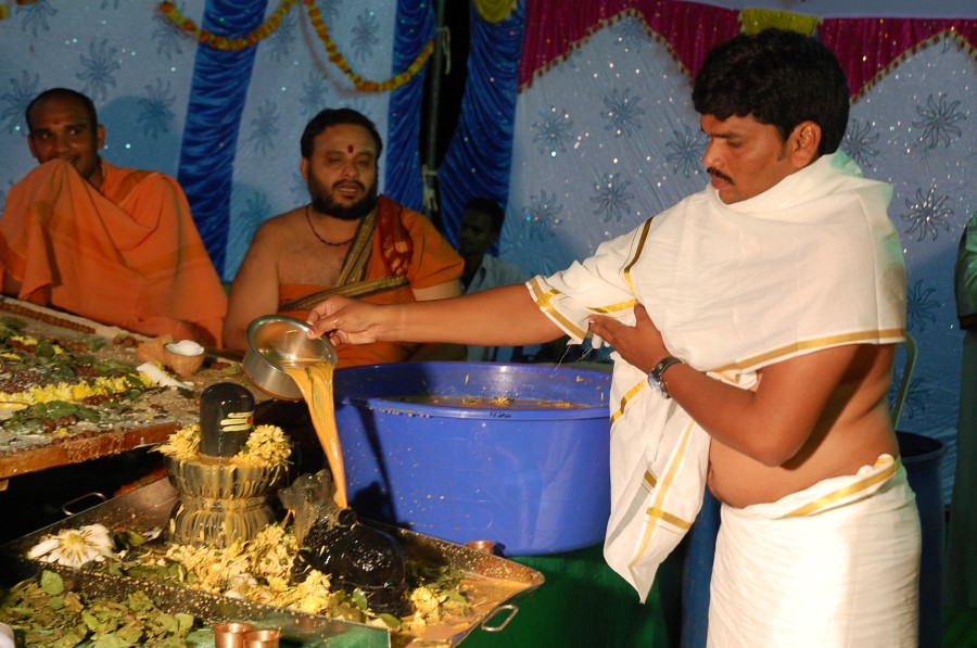 Maha Shivratri Special Maha Pasupatha Homam 2014 (231)
