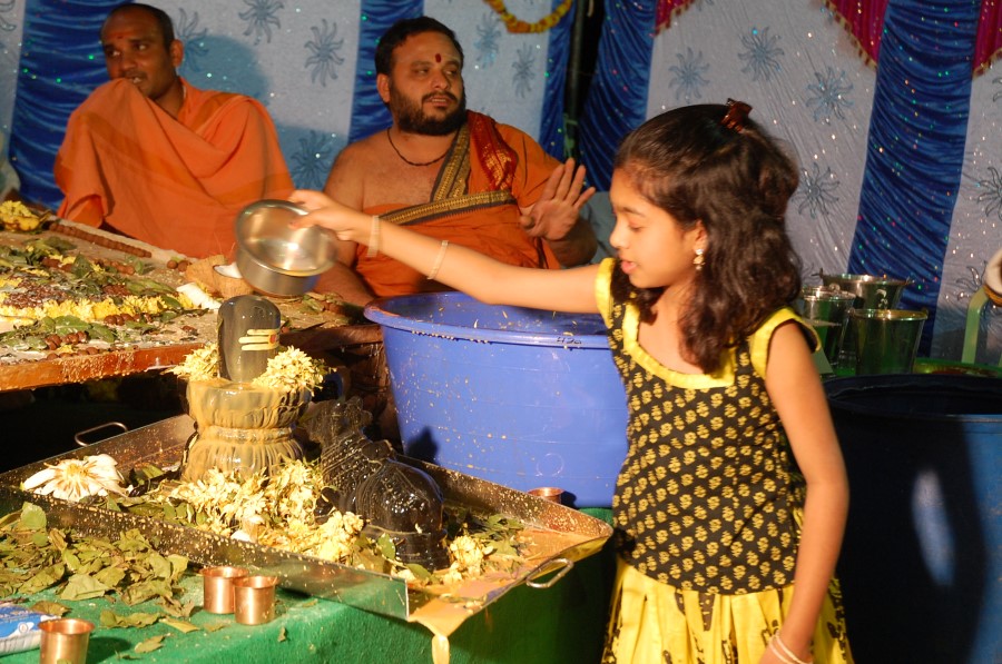 Maha Shivratri Special Maha Pasupatha Homam 2014 (234)