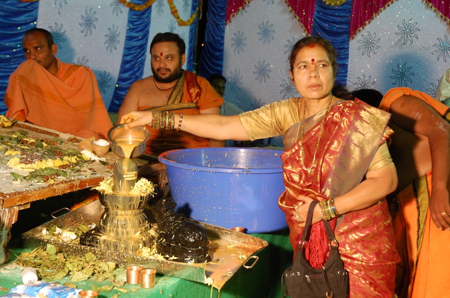 Maha Shivratri Special Maha Pasupatha Homam 2014 (236)