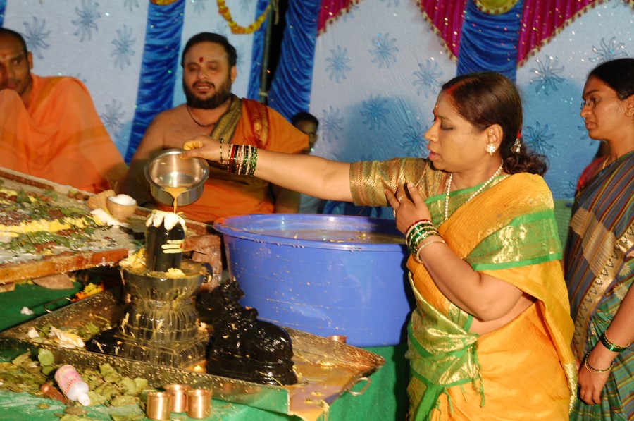Maha Shivratri Special Maha Pasupatha Homam 2014 (242)