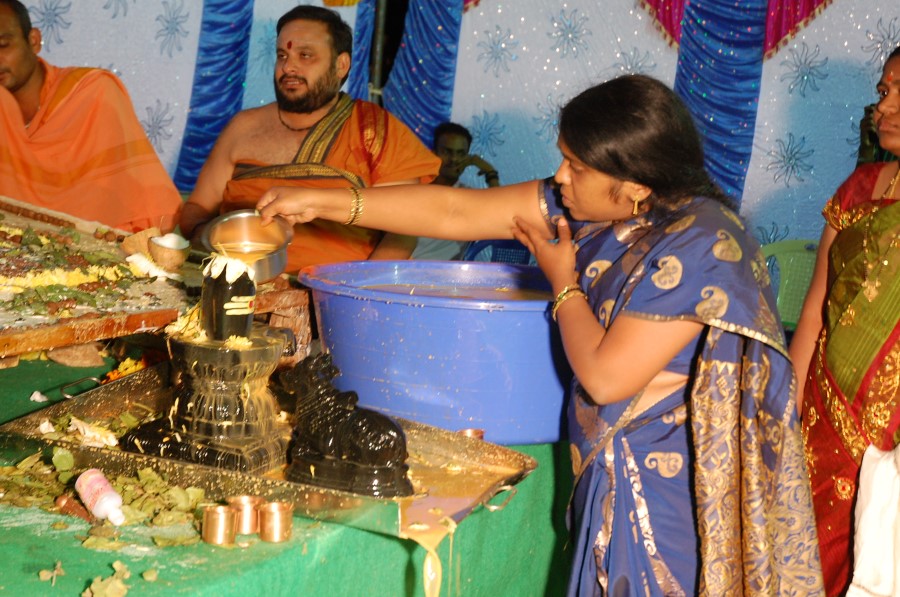 Maha Shivratri Special Maha Pasupatha Homam 2014 (244)