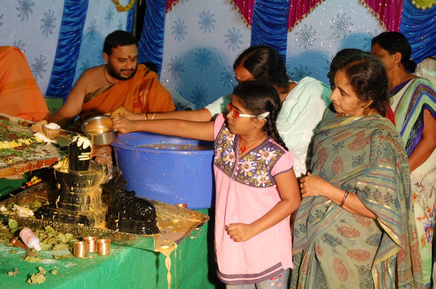 Maha Shivratri Special Maha Pasupatha Homam 2014 (250)