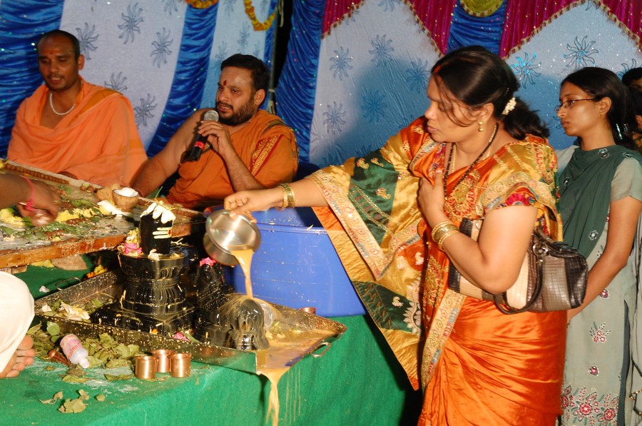 Maha Shivratri Special Maha Pasupatha Homam 2014 (258)