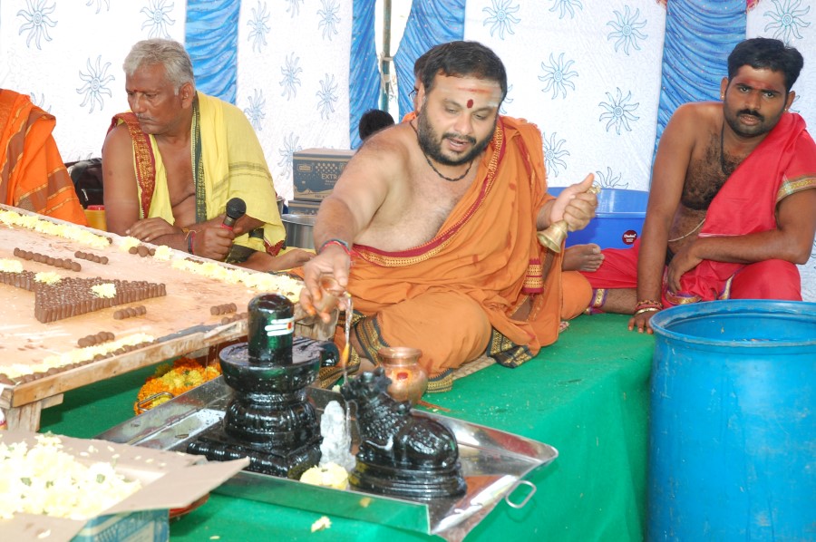 Maha Shivratri Special Maha Pasupatha Homam 2014 (27)