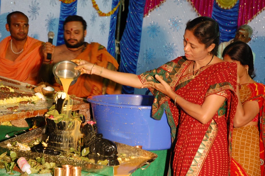 Maha Shivratri Special Maha Pasupatha Homam 2014 (270)