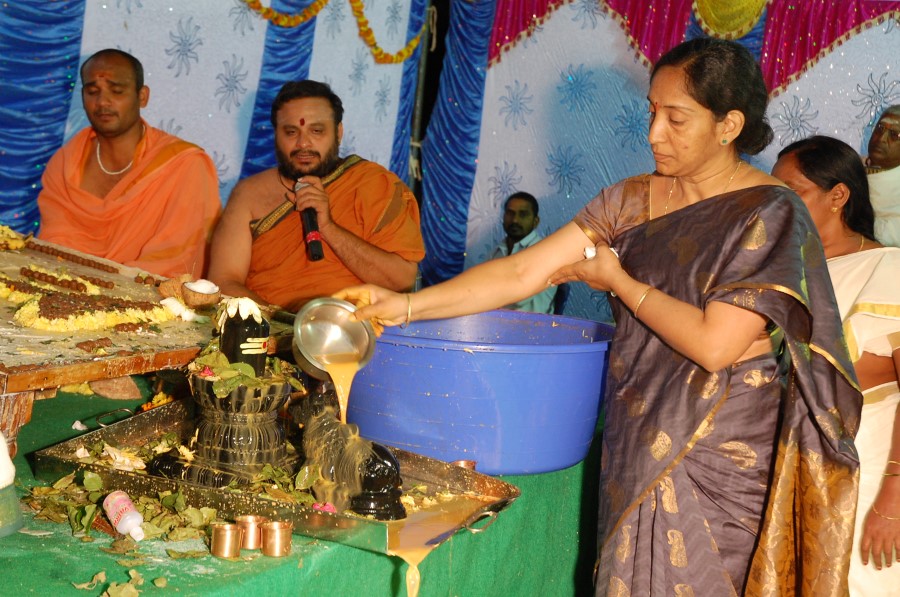 Maha Shivratri Special Maha Pasupatha Homam 2014 (276)