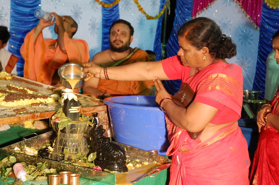 Maha Shivratri Special Maha Pasupatha Homam 2014 (283)