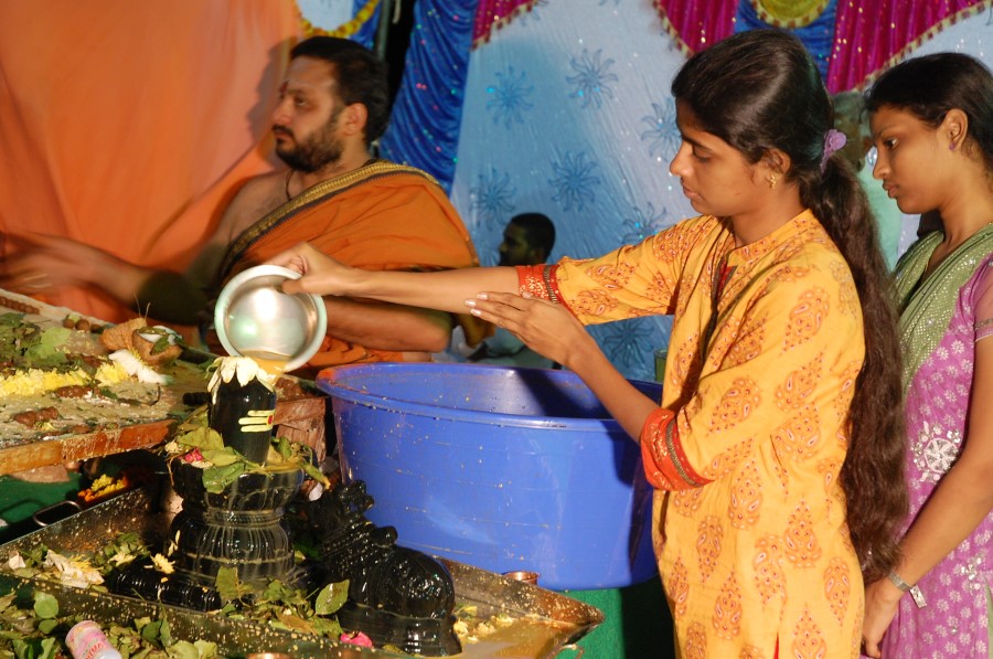 Maha Shivratri Special Maha Pasupatha Homam 2014 (287)