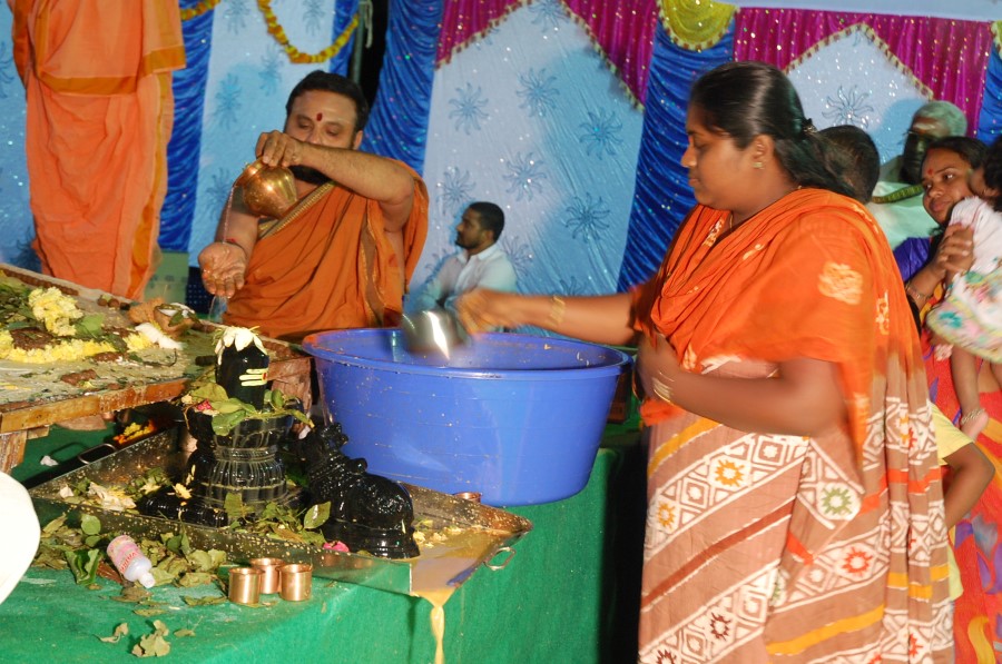 Maha Shivratri Special Maha Pasupatha Homam 2014 (290)