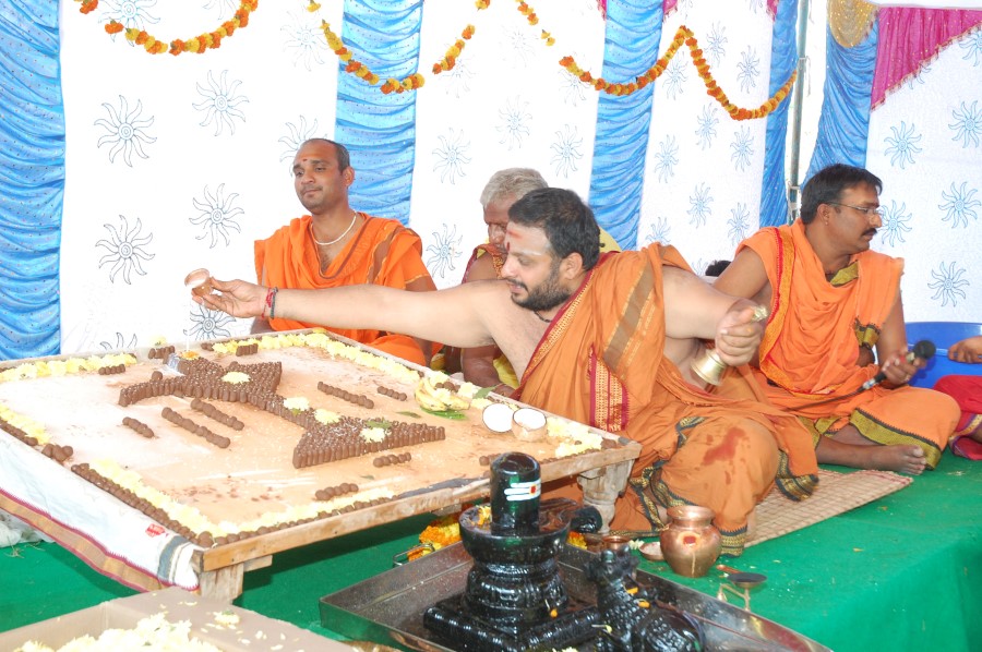 Maha Shivratri Special Maha Pasupatha Homam 2014 (32)