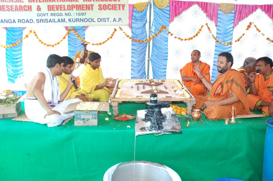 Maha Shivratri Special Maha Pasupatha Homam 2014 (33)