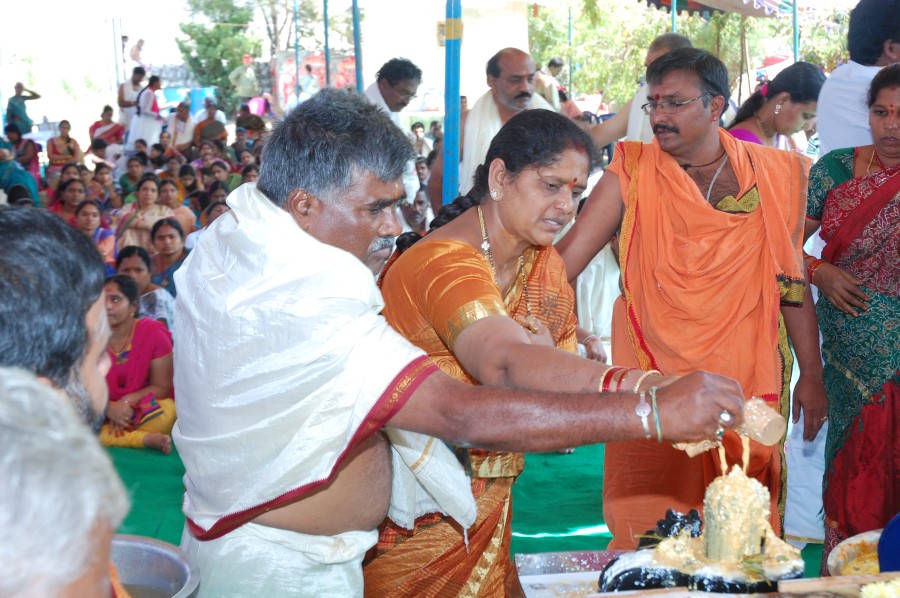 Maha Shivratri Special Maha Pasupatha Homam 2014 (47)