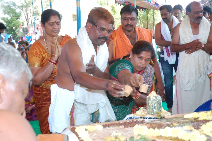Maha Shivratri Special Maha Pasupatha Homam 2014 (48)