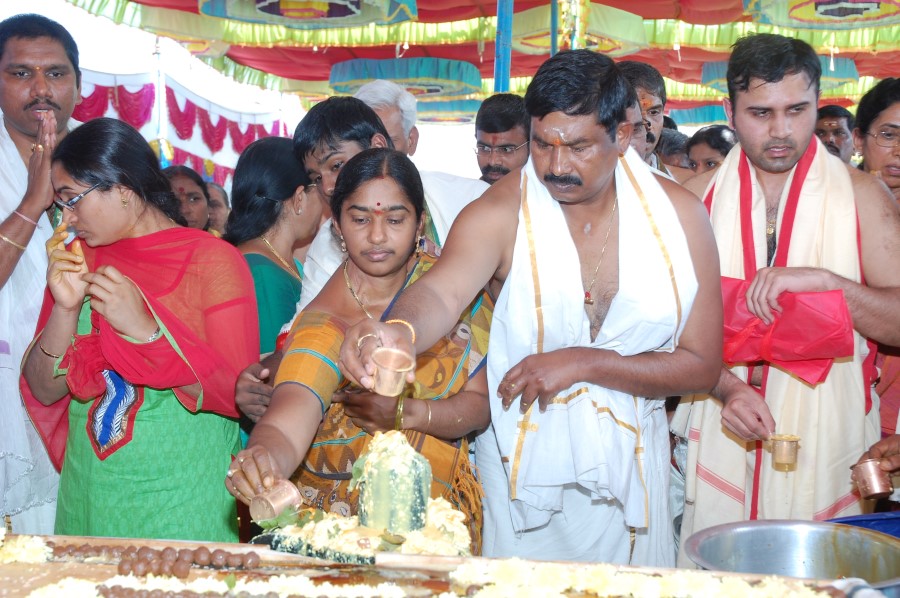 Maha Shivratri Special Maha Pasupatha Homam 2014 (81)