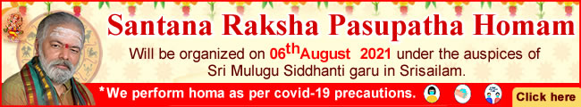 Santhana Raksha Pasupatha Homam
